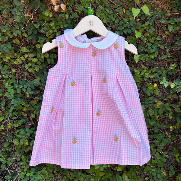 elegant embroidery baby dress