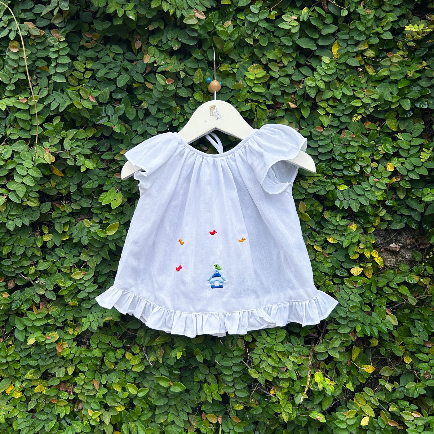 charming embroidery baby dress