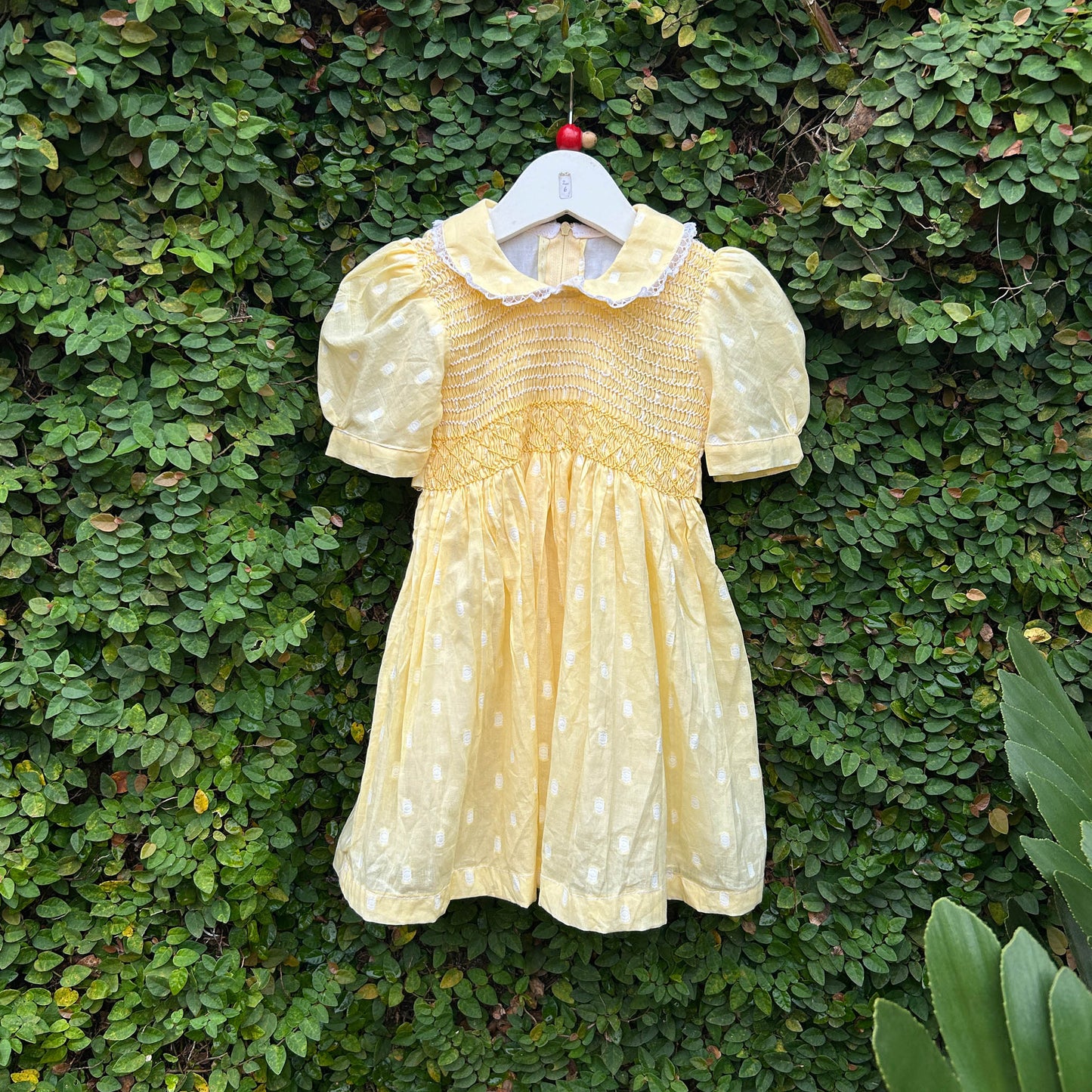 Elegant Cotton Dress with Peter Pan Collar
