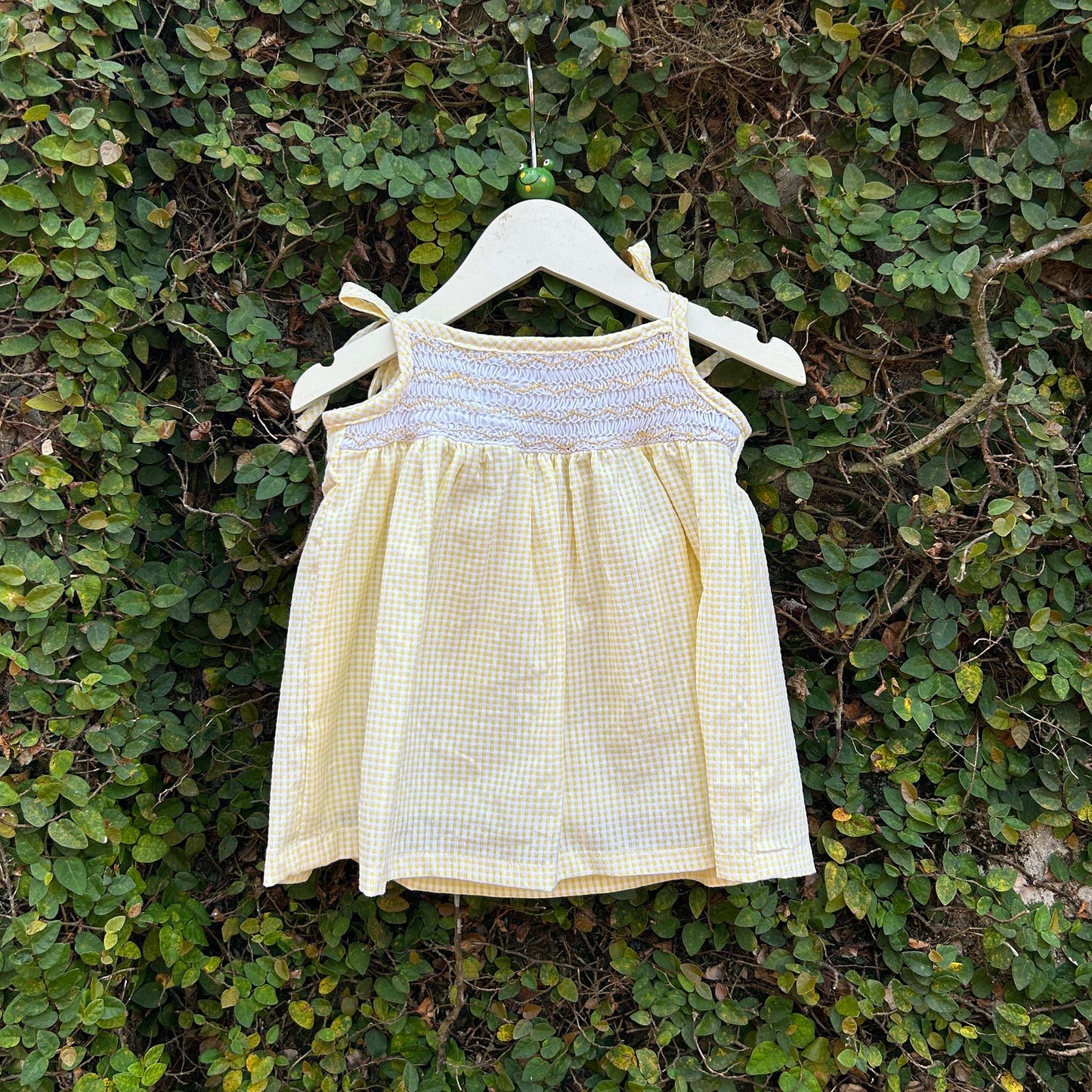 Adorable Smocked Gingham Baby Dress