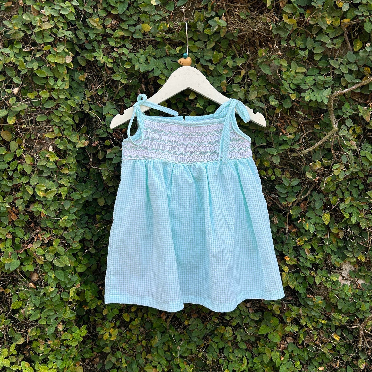 Adorable Smocked Gingham Baby Dress