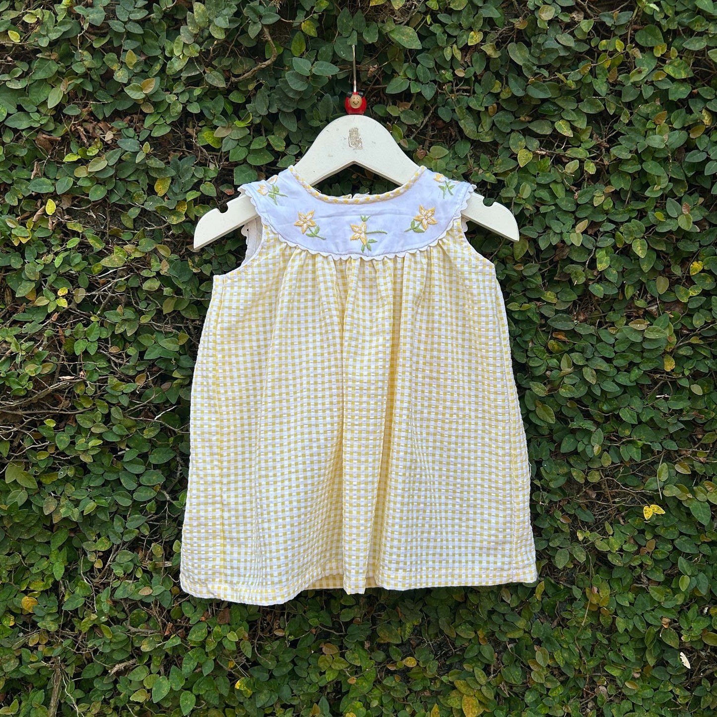 Comfy Gingham Dress with Floral Embroidery