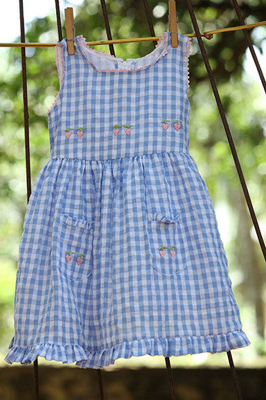 Blue checkered Strawberry Dress