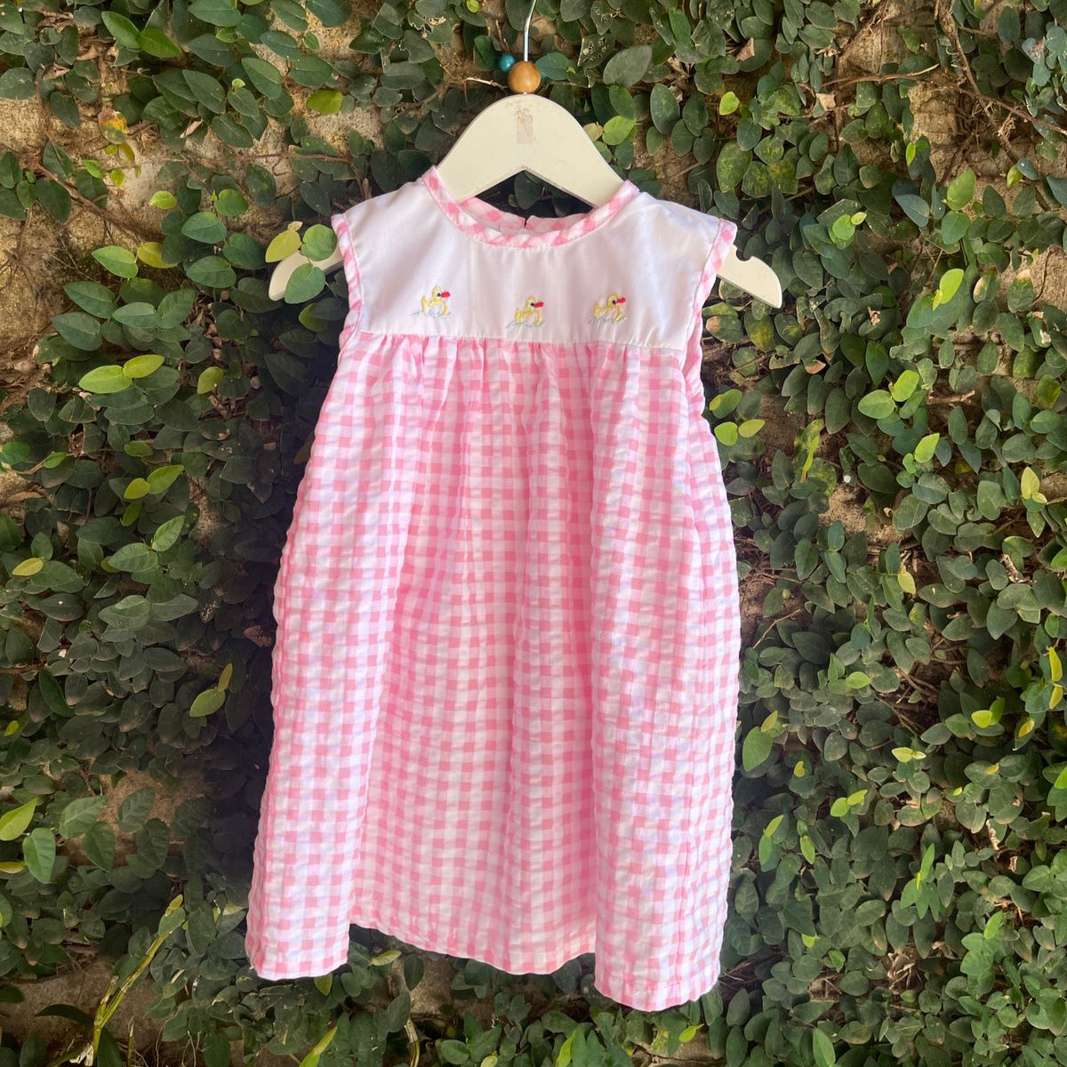 Hand Embroidered High Yoke Gingham Dress
