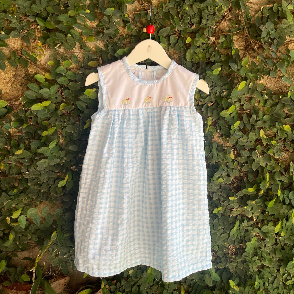 Hand Embroidered High Yoke Gingham Dress